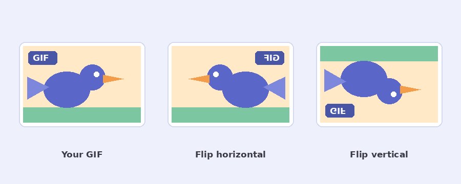 An animated GIF mirrored horizontally and vertically with the Pi7 flip GIF tool
