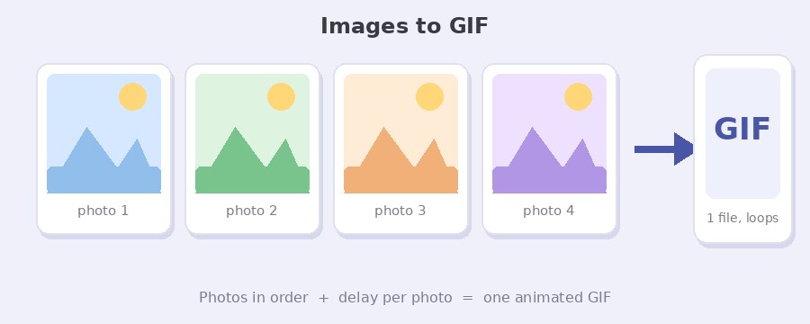 Four photos in a row turned into one animated GIF with the Pi7 images to GIF maker