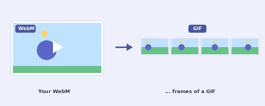 A WebM clip turned into an animated GIF with the Pi7 WebM to GIF converter